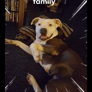 Meet your Posher, Hunter